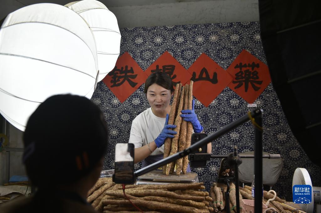 菠菜评级